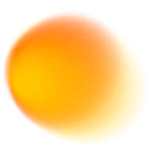 <b>Responsive Ongoing Support</b>