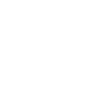 <font color="#fffffe"><b>Professional Services</b></font>